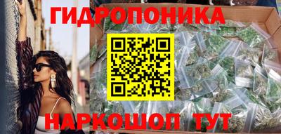 ГАЛЛЮЦИНОГЕННЫЕ ГРИБЫ Бердск