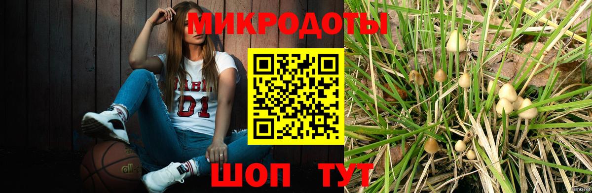 Галлюциногенные грибы прущие грибы Отрадный