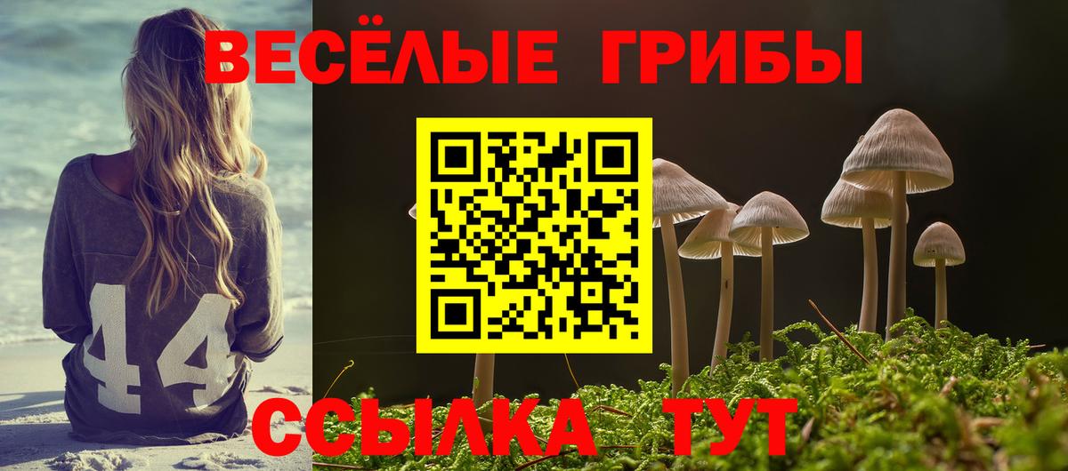 Отрадный  Псилоцибиновые грибы Psilocybe  Вход с VPN 